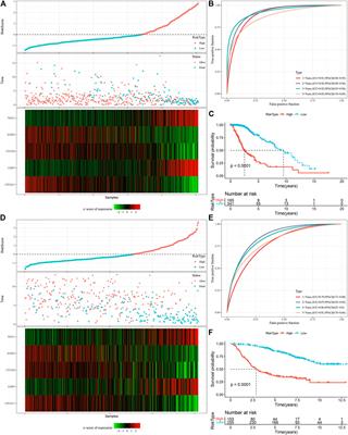 Establishing a glutamine metabolism-based model for predicting the prognosis of low-grade glioma